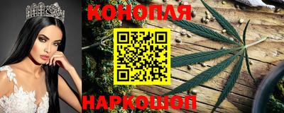 гашик Рузаевка