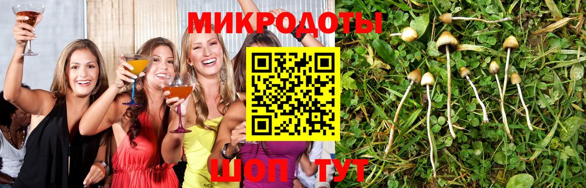 Галлюциногенные грибы мухоморы Свободный
